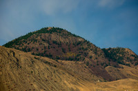 Green Along the Top