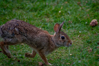 Slowing Down