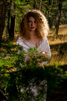 Wandering in the Woods