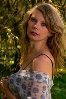 The Light in the Woods