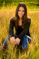 A Seat in the Grass