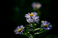 As the Sun Breaks Through