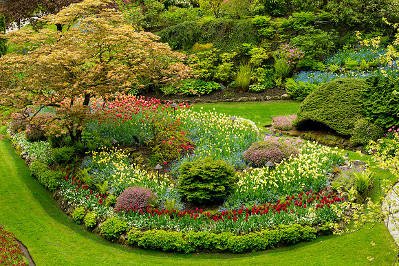 The Sunken Garden