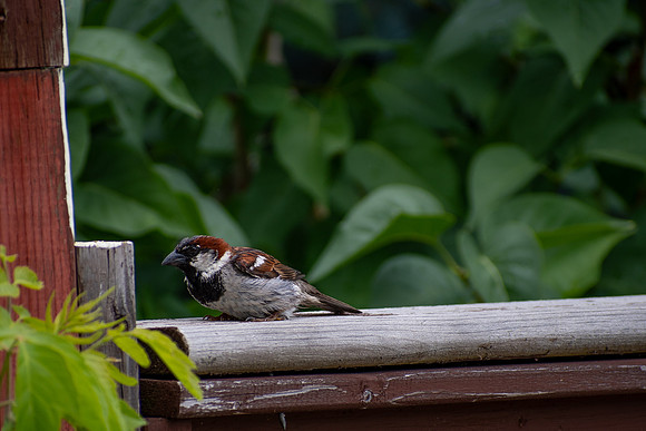Finding a Spot to Rest