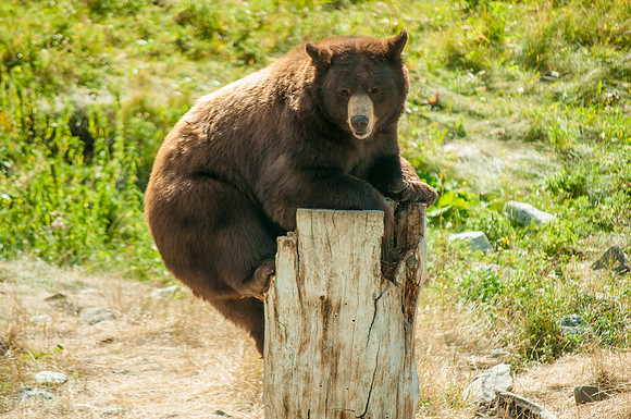 Am I Sitting Pretty?