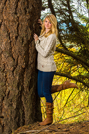 A Tree To Hold On To