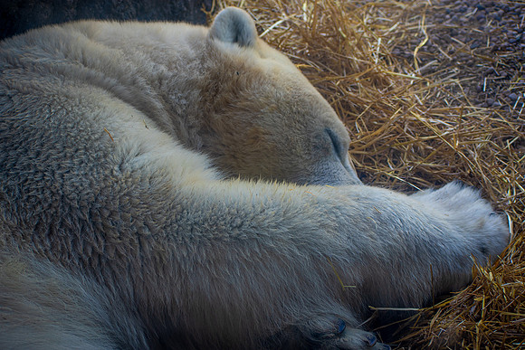 Sleeping In