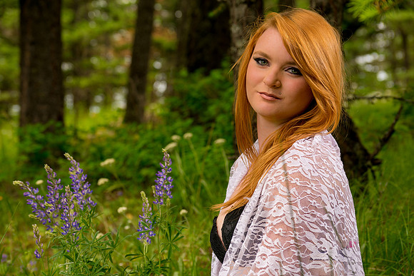 Among the Wildflowers