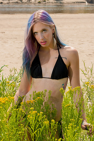 Flowers at the Beach