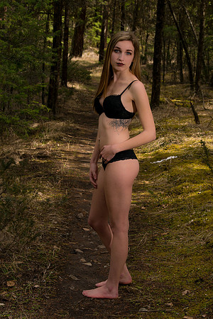 Trail in the Woods