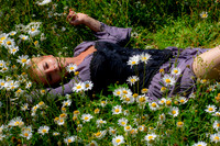 Among the Daisies