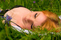 Meadow in the Woods