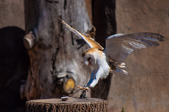 Stick The Landing