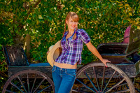 The Old Wagon