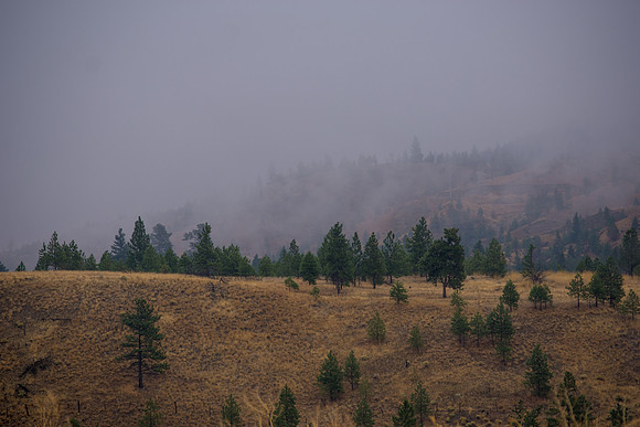 When the Fog Rolls In