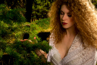 Pondering the Trees