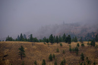 When The Fog Rolls In
