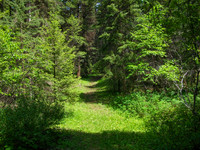 A Trail Less Traveled