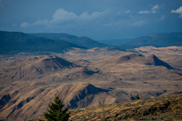 Grasslands to the Woods