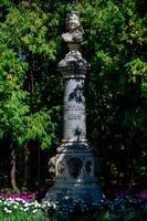 Tower in the Trees