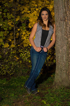 Night Time in the Park